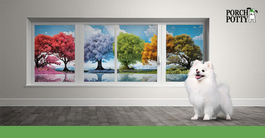 A fluffy white dog stands in front of a window displaying a tree in all four seasons