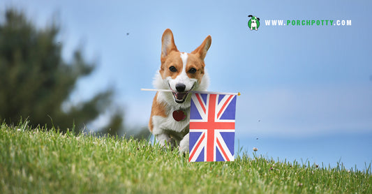 All About Queen Elizabeth II and Her Dear Love of Corgis