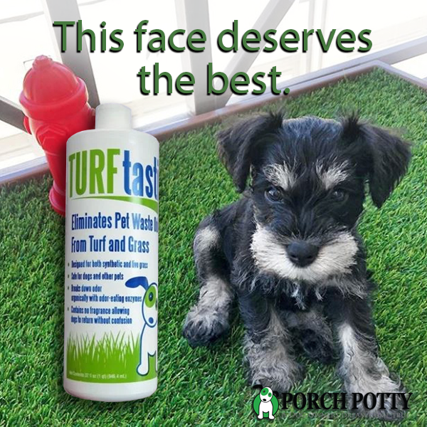 TURFtastic the first enzymatic cleaner specially formulated for dog p Porch Potty UK