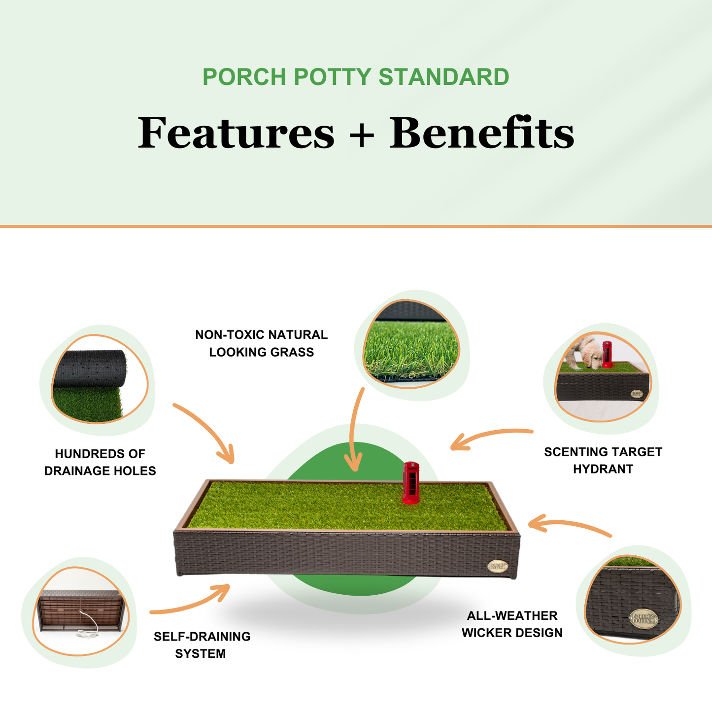 Porch Potty STANDARD