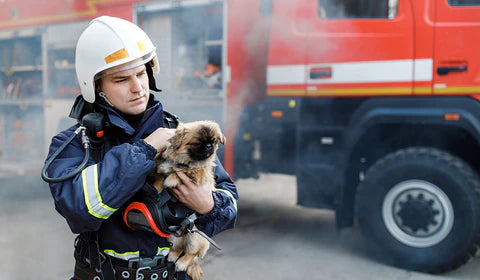 A firefighter holds a Pug