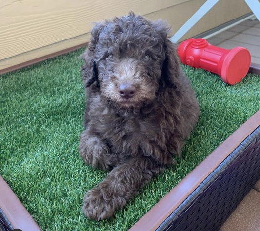 Long work hours made potty breaks tough for this medical professional