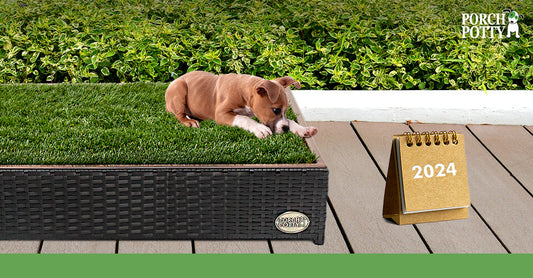 A dog lays on a Porch Potty beside a calendar that reads 2024