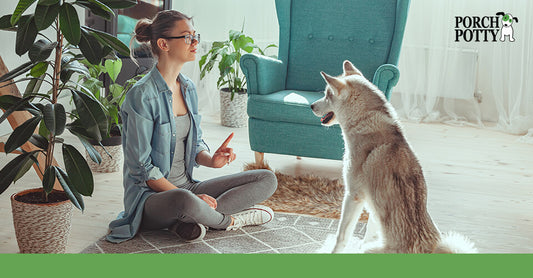 A young woman sits on the floor in front of her dog as if she was lecturing him and punishing him