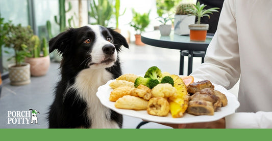 A dog looking intently at a plate of fried foods, vegetables, and meats on a table.