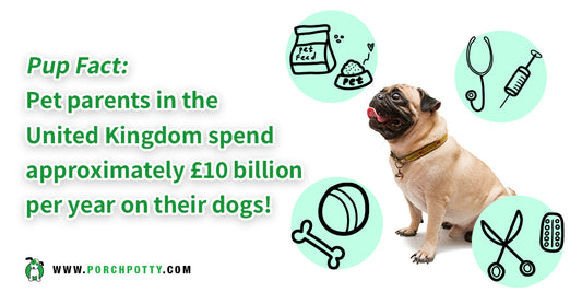 While Inflation Falls, Invest in This High-Quality Dog Product That Will Make You Save in the Long Run
