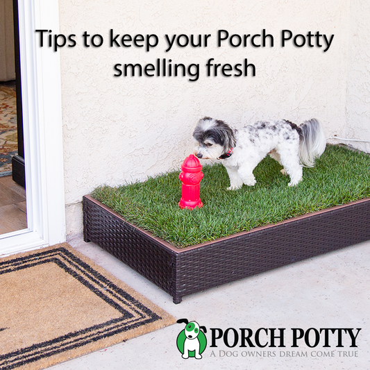 Tips to keep your Porch Potty smelling Fresh
