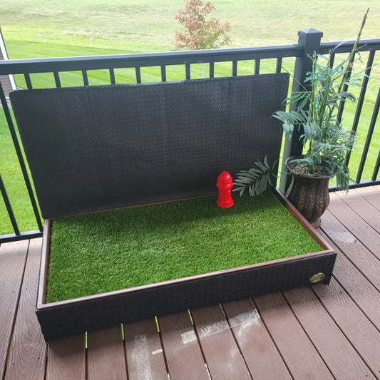 gid://shopify/MediaImage/51842133328239