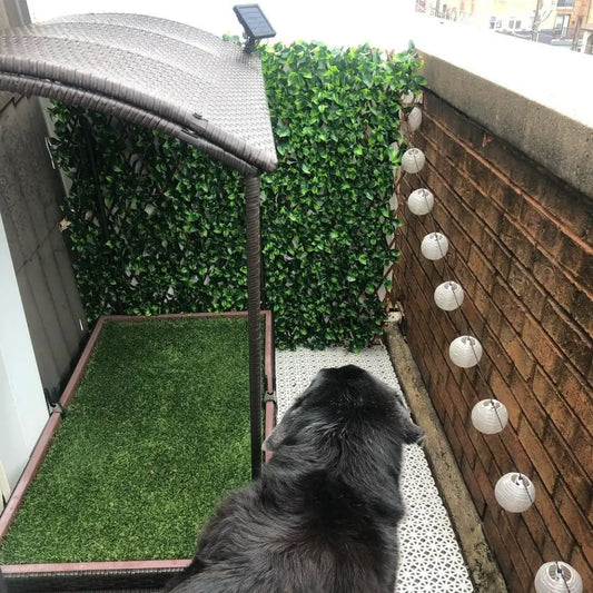 gid://shopify/MediaImage/51842132083055