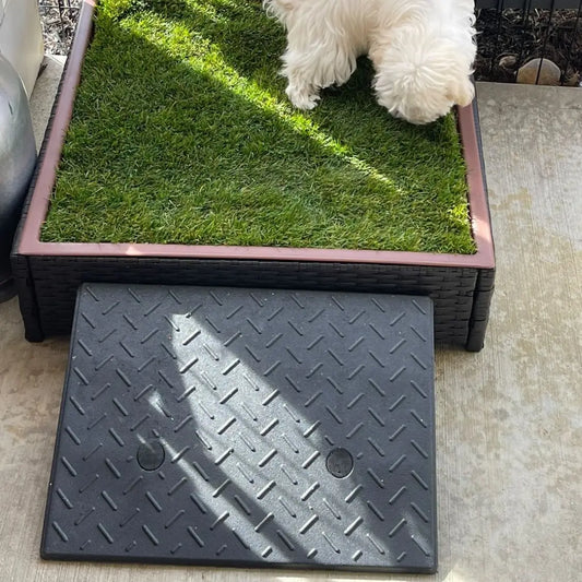 gid://shopify/MediaImage/51842134901103