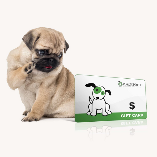 gid://shopify/MediaImage/51842157347183